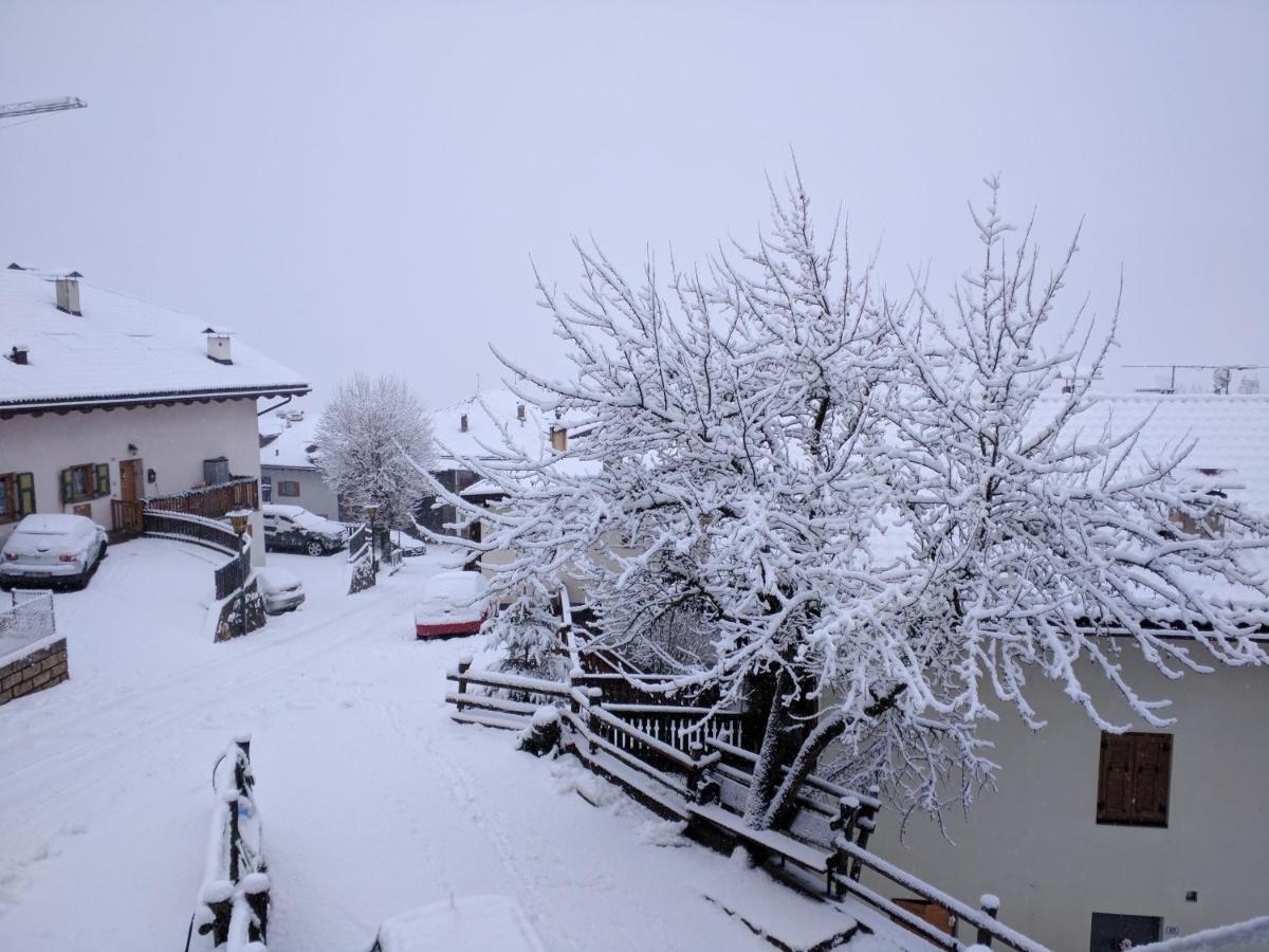 Apartmán Regina Del Bosco Della Vicina Cavalese Daiano Exteriér fotografie